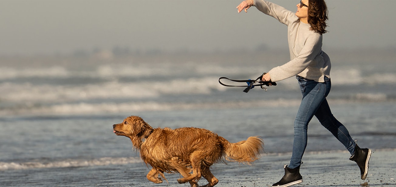large_13-header-image-for-why-owning-a-dog-can-be-good-for-your-health-new.jpg