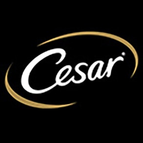 Cesar