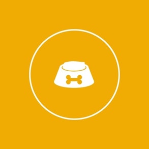 Pedigree What Should I Feed My Dog?