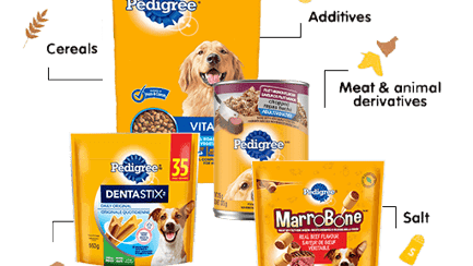 Facts About PEDIGREE® Dog Food