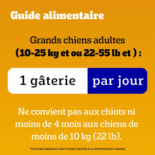 GÂTERIES POUR CHIENS PEDIGREE(MD) DENTASTIX(MC) POUR CHIENS MOYENS SAVEUR ORIGINALE image 2