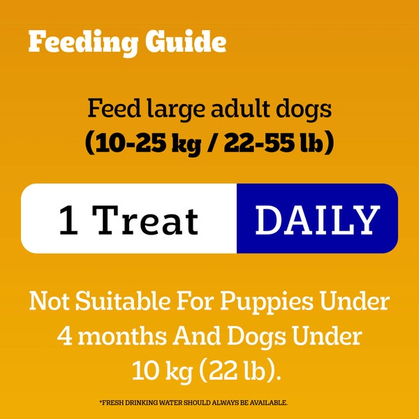PEDIGREE® DENTASTIX™ ORAL CARE ORIGINAL FLAVOUR MEDIUM DOG TREATS image 2