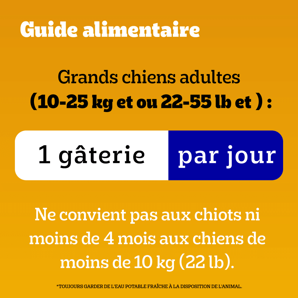 GÂTERIES POUR CHIENS PEDIGREE(MD) DENTASTIX(MC) POUR CHIENS MOYENS SAVEUR ORIGINALE feeding guidelines image